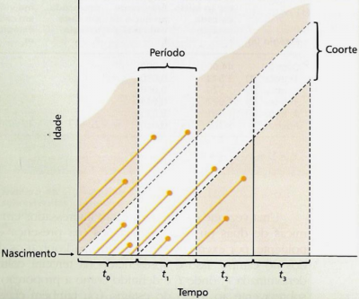 tabela_tipos.png